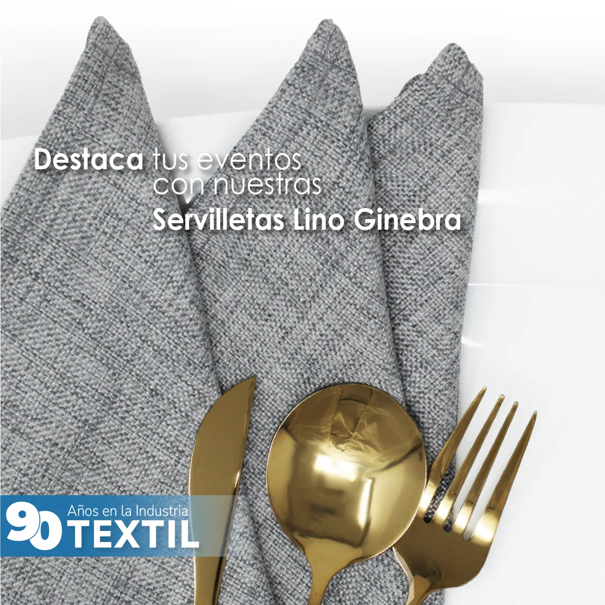 Servilleta Lino Ginebra 45x45 cm Gris Oxford: imagen 7