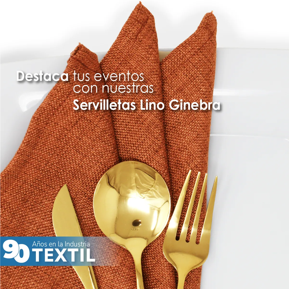 Servilleta Lino Ginebra 45x45 cm Shedron: imagen 7