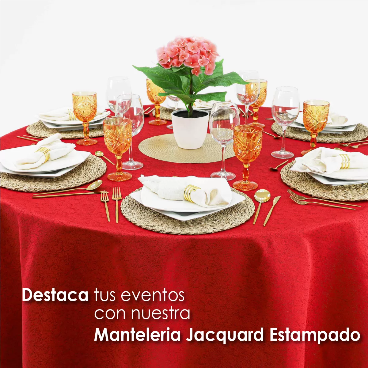 Mantel Yackard Redondo YE-295 FRANCIA ROJO: imagen 5