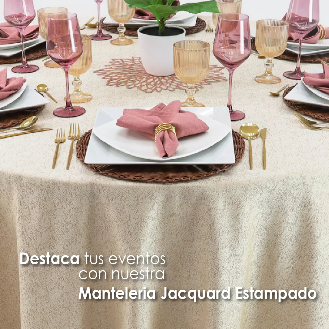 Mantel Yackard Redondo YE-211 FRANCIA CHAMPAÑA: imagen 9