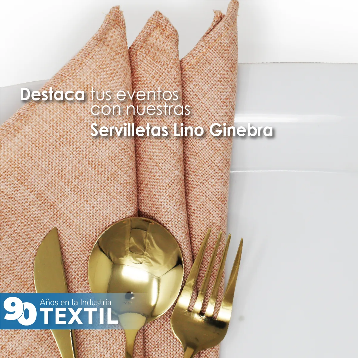 Servilleta Lino Ginebra 45x45 cm Rous: imagen 7